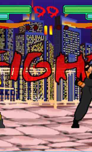 Kung Fu Fighter 3