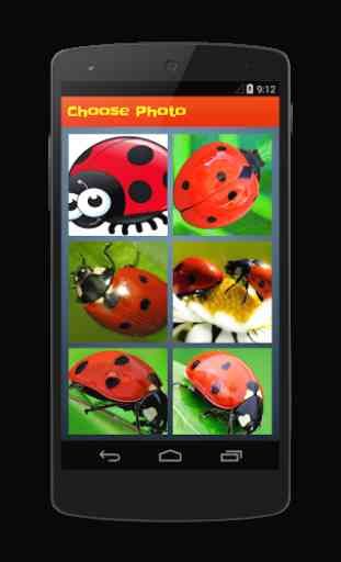 Ladybug Puzzle 3