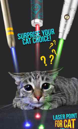Laser Point For Cat Joke 3