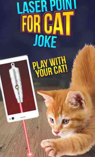 Laser Point For Cat Joke 4