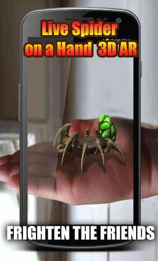 Live Spider on a Hand 3D AR 2