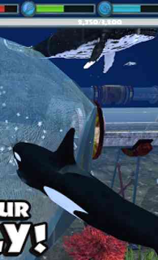 Orca Simulator 4