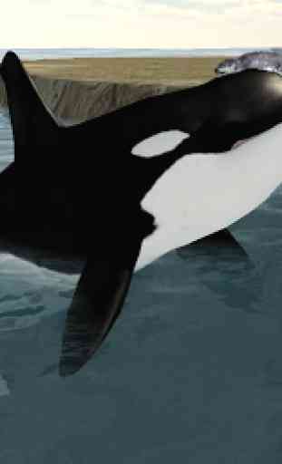 Orca Whale Simulator 3D 1