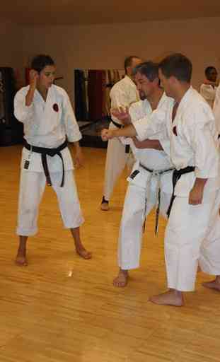 Shotokan karate 2