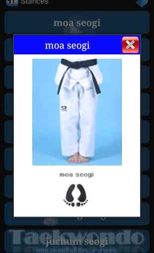 Taekwondo ITF 2