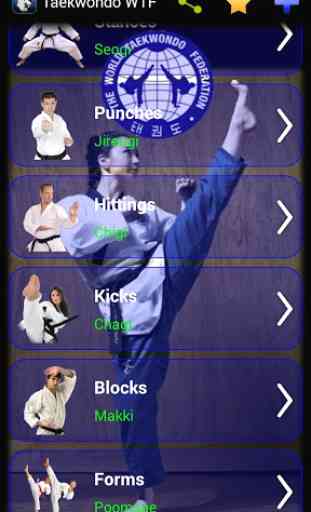 Taekwondo WTF 1