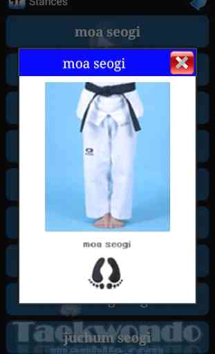 Taekwondo WTF 2