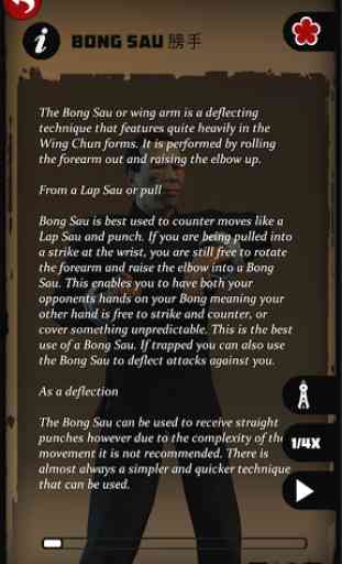 Wing Chun Kung Fu: SLT 3