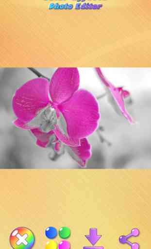 Color Effects Photo Editor 4