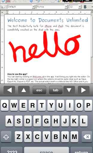 Open Word Processor & Reader Professional for iPhone 1