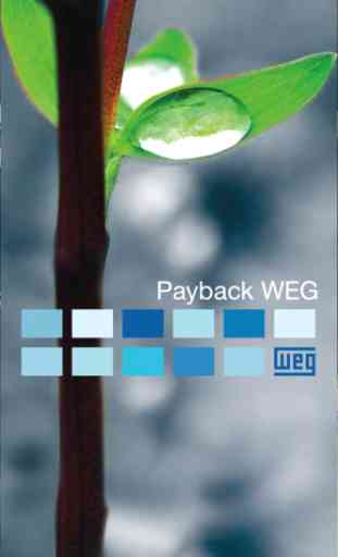 Payback WEG 1