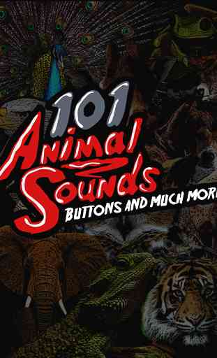 100'+ Animal Sounds & Buttons 1