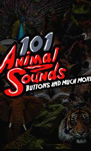 100'+ Animal Sounds & Buttons 4