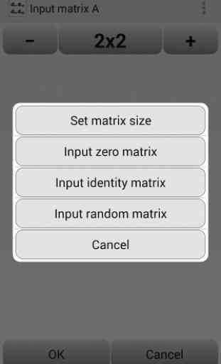 Matrix Calculator 2