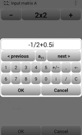 Matrix Calculator 4