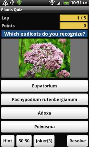 Plants Quiz - for botanists 2