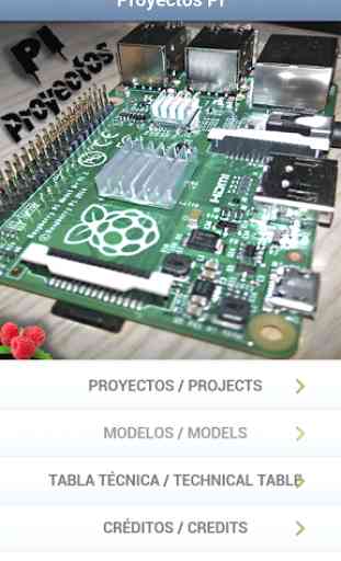 Projects Pi 1