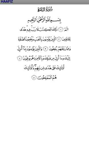 Quran Memorization (Hafiz) 4