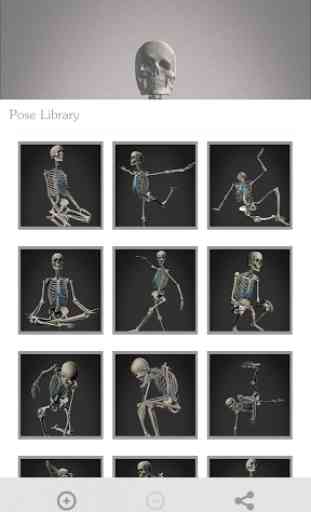 Skelly: Poseable Anatomy Model 4