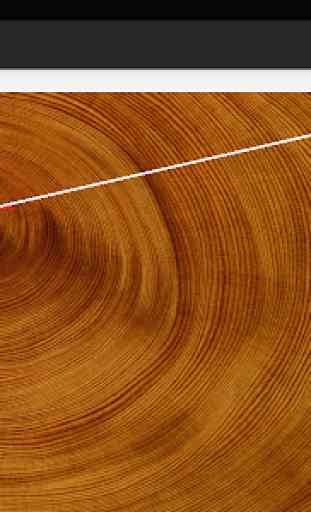 Tree Ringer:Tree Ring Counting 1