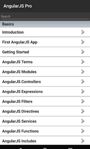AngularJS Pro Free 1