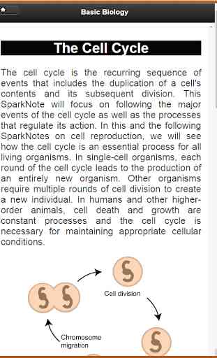 Basic Biology (detailed) 3