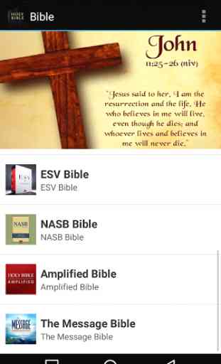 Bible ESV NASB NIV NKJV NLT 2