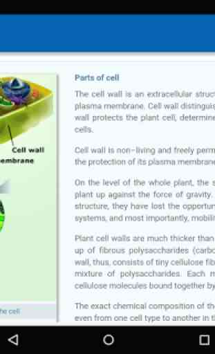 Cell Structure 4
