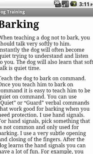 Dog Training 4