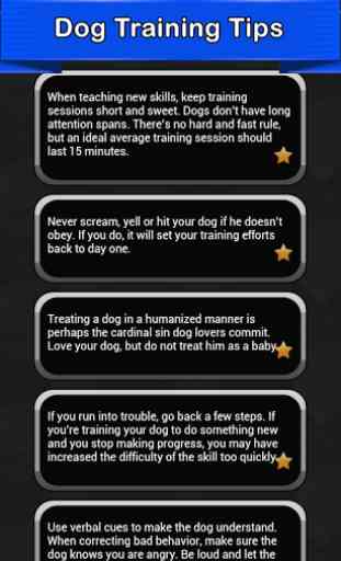 Dog Training Tips 1