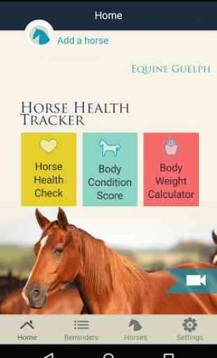 Horse Health Tracker 1