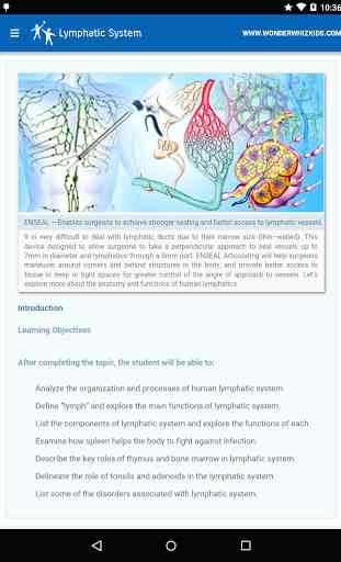 Lymphatic System 1
