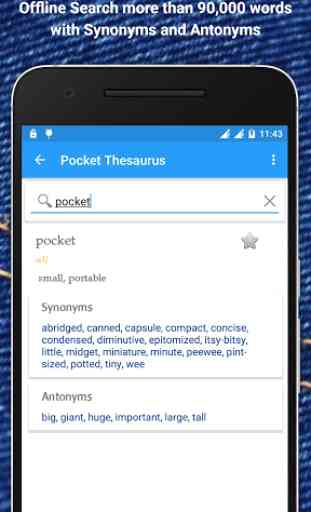 Pocket Thesaurus 1