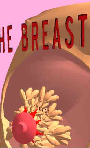 The Breast 3D 1