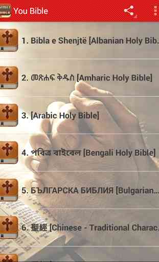 You Bible Audio Version. 1