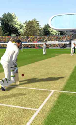 Best Cricket Games 4