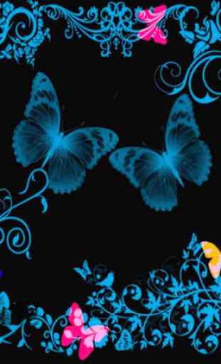 Butterfly Wallpapers HD 4