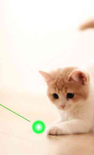 Cat laser pointer simulator 2