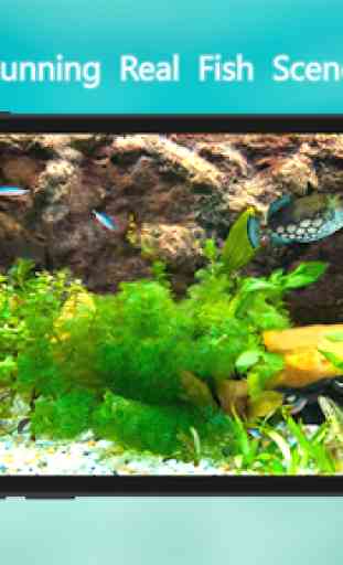 Fish Aquarium 3D - Fish Tanks 2