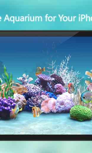 Fish Aquarium 3D - Fish Tanks 4