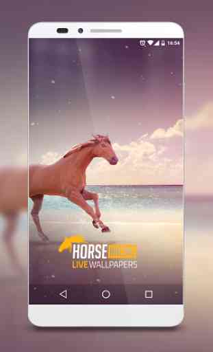Horse Racing Live Wallpapers 4