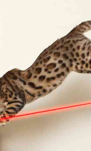laser for cats simulator 2016 1