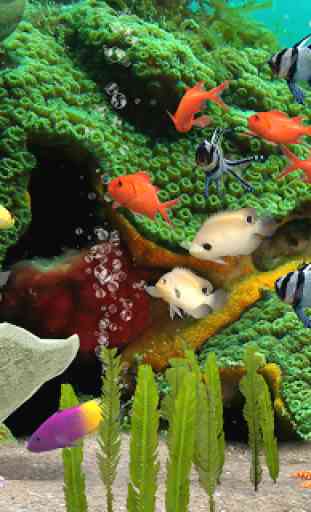 MyReef 3D Aquarium 3