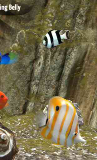 MyReef 3D Aquarium 4