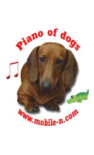Piano of Dogs 1