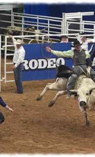 Rodeo Sports Wallpaper Pics 2