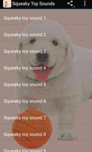 Squeaky Toy Sounds 2