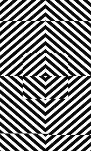 Twister Illusion (Hypnotic) 2