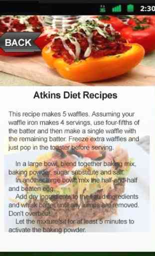 Atkins Diet Recipes 2