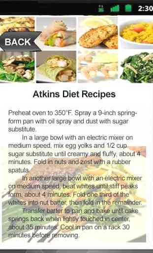 Atkins Diet Recipes 3